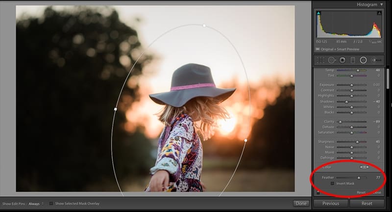 how to use the radial filter in Lightroom