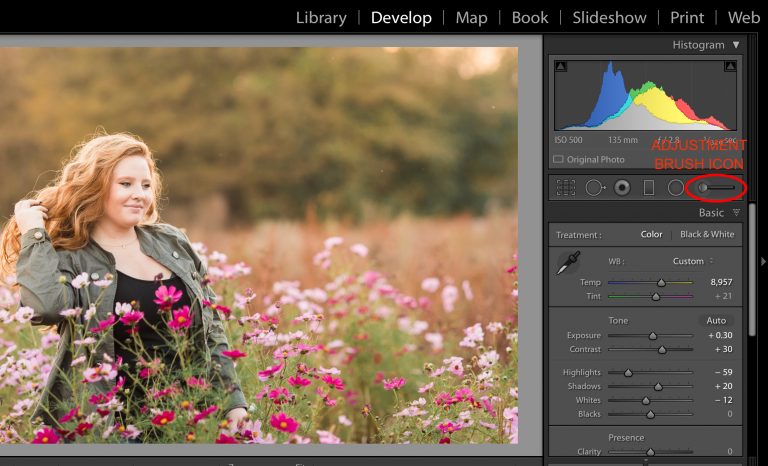 Simple Tips for Using the Lightroom Adjustment Brush Tool