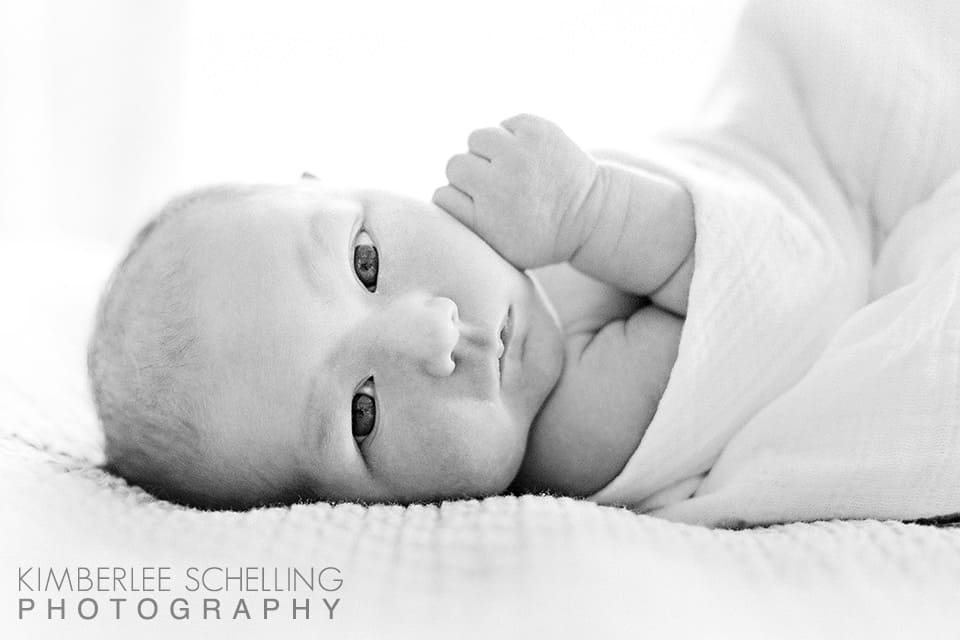best newborn photography lenses