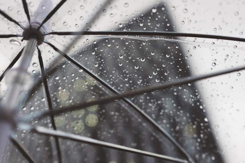 rain pictures umbrella