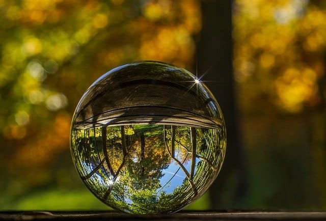 crystal ball reflecting trees