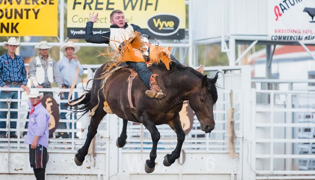 Beginner's Guide to Rodeo Photography