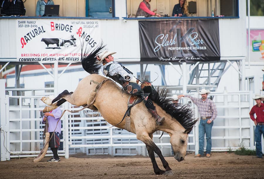 rodeo photography 101