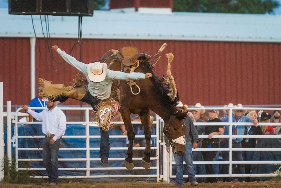 tips for photographing rodeos