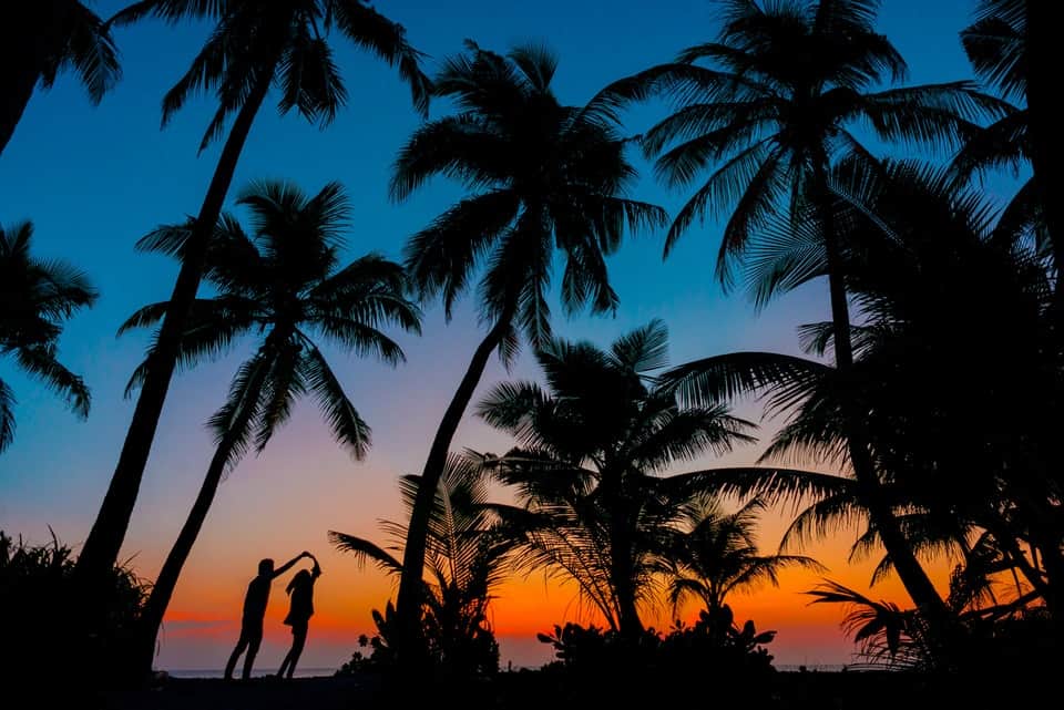 silhouette of couple and palm trees at sunset
