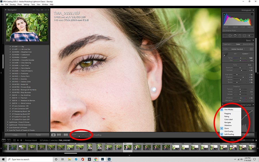 Add zoom to your Lightroom toolbar