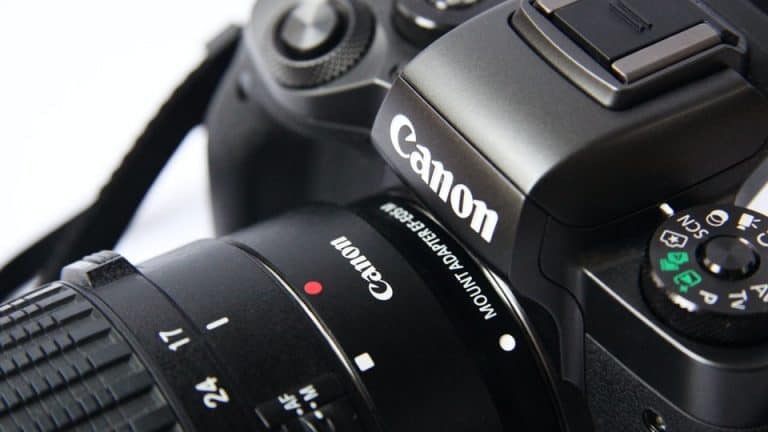 How Do I Find the Shutter Count On My Canon Camera?