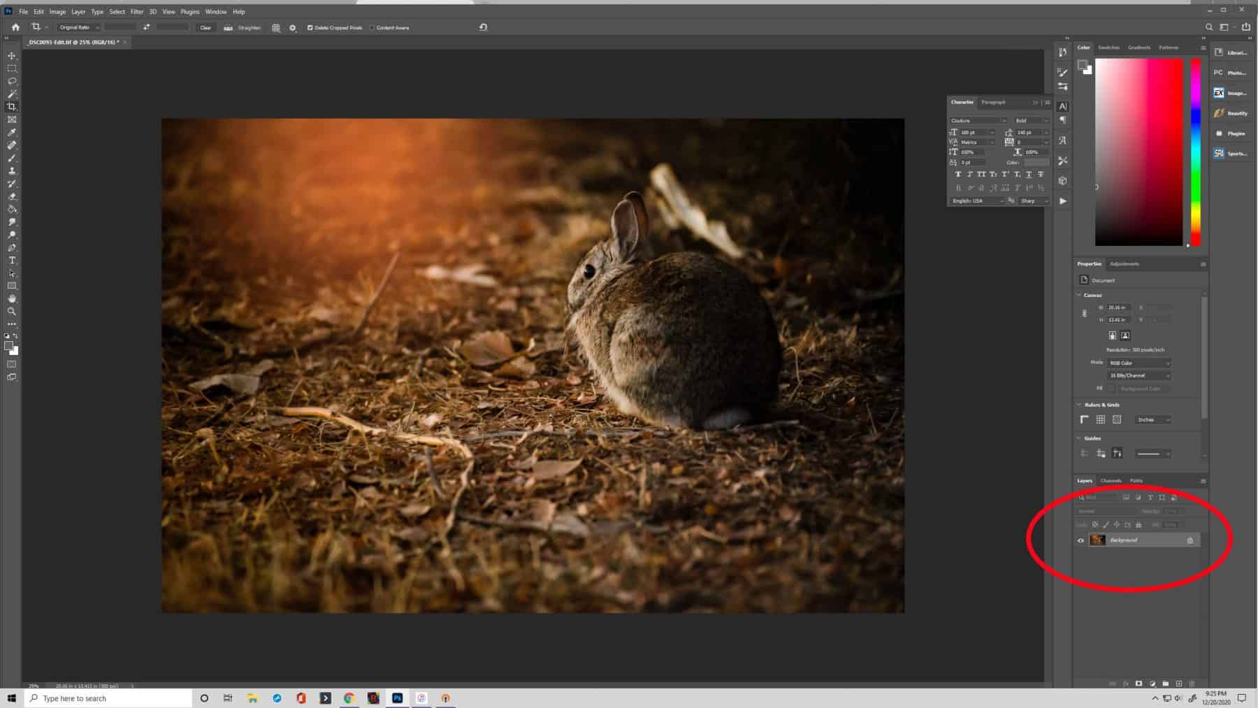 Unlock the Background Layer in Photoshop